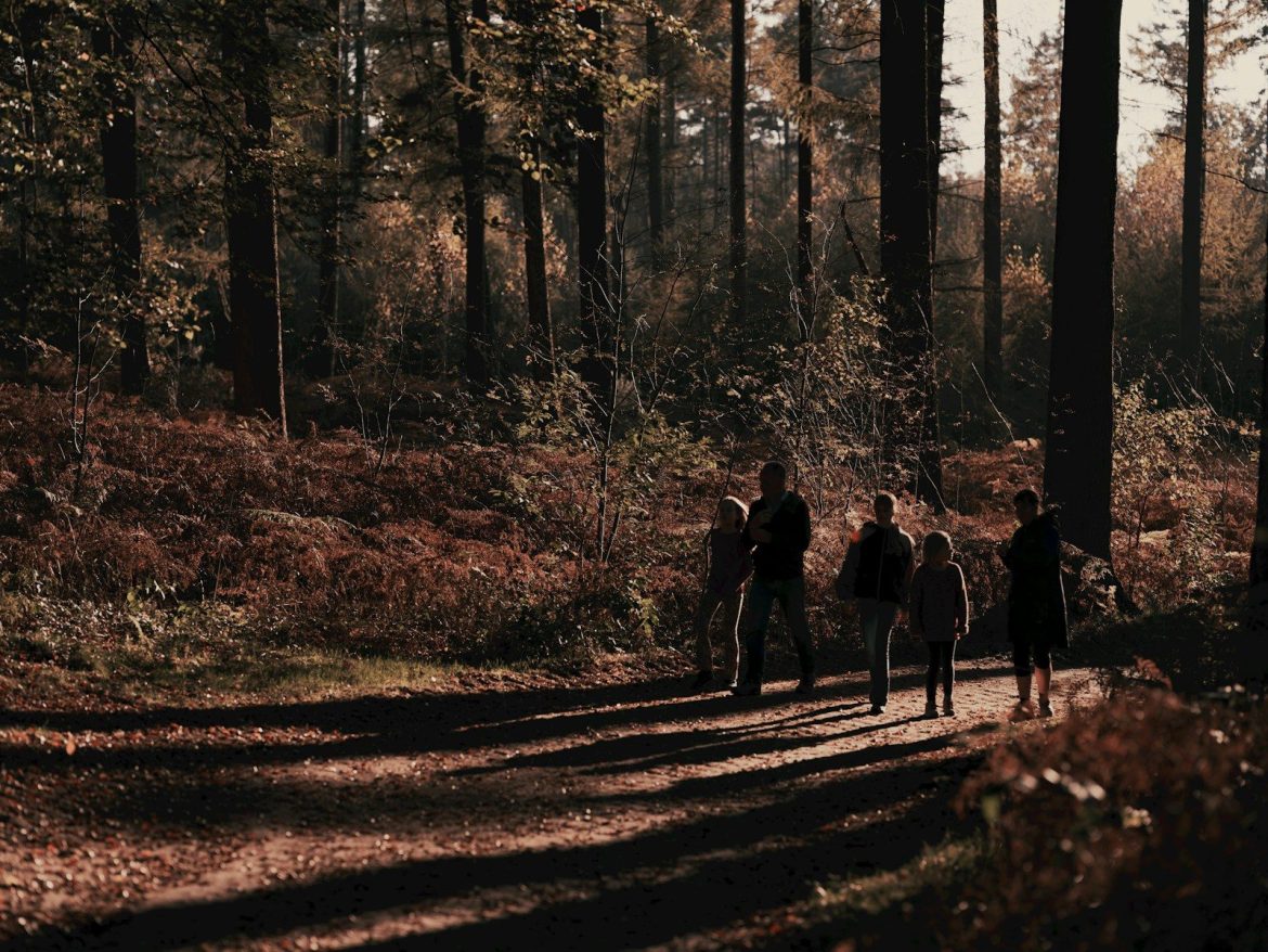 Pametne odločitve pri nakupu gozdnih površin