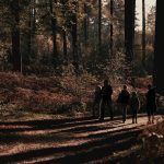 Pametne odločitve pri nakupu gozdnih površin