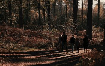 Pametne odločitve pri nakupu gozdnih površin