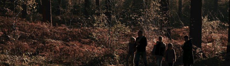 Pametne odločitve pri nakupu gozdnih površin