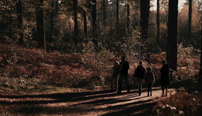 Pametne odločitve pri nakupu gozdnih površin